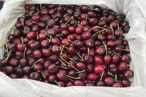 5 loại quả màu đỏ giúp quá trình giảm cân trở nên dễ dàng hơn