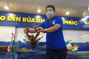 Tôm hùm Úc, cua hoàng đế Hàn Quốc... hút khách Việt
