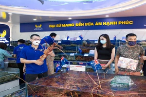 Tôm hùm Úc bất ngờ giảm giá mạnh