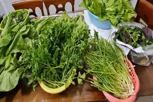 Ngày Tết ăn sơn hào hải vị nhưng để bảo vệ sức khỏe đừng quên món ăn này