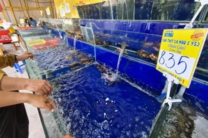 Cua ghẹ khan hàng, giá tăng cao chóng mặt