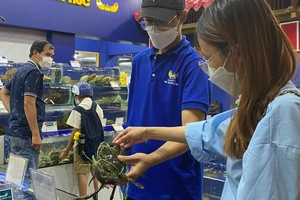 Cua biển Úc hơn 1 triệu đồng/kg, khách vẫn thích mua