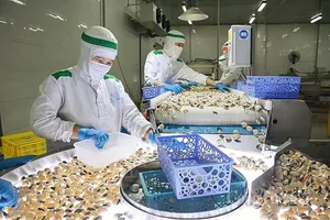 Người Bỉ, Hà Lan... thích ăn nghêu hấp nguyên con, sốt bơ của Việt Nam