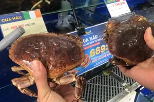 Lý do giá cua, ghẹ trong nước cao hơn nhập ngoại