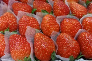 Rau củ sẽ nhanh hư hỏng nếu bạn mắc sai lầm này 