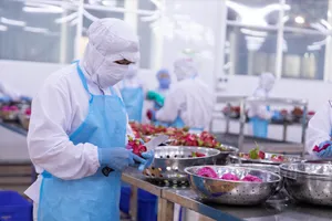 Xây dựng vùng trồng sơ ri, ổi... sạch bán sang Châu Âu, Mỹ