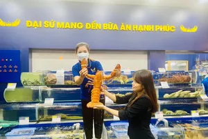 Cận cảnh tôm hùm Canada màu vàng cam hiếm gặp