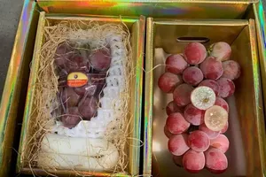 Cẩn trọng nho đội lốt giống Ruby Roman đắt đỏ của Nhật 