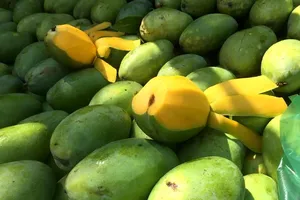 Ăn những quả này sẽ khiến bệnh tiểu đường trầm trọng hơn