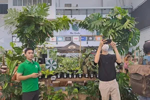 Cây kiểng lá giá hàng trăm triệu đồng quy tụ tại hội chợ lớn nhất Việt Nam