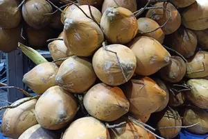 Khi bị sốt xuất huyết, đừng quên uống loại nước vừa rẻ vừa dễ mua này