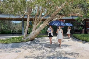 Sắp diễn ra Hội chợ Du lịch trực tuyến Bà Rịa - Vũng Tàu 2022