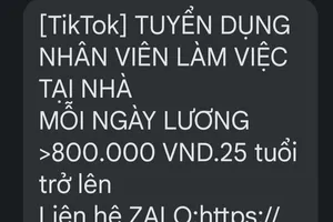 Cận tết, rộ lừa đảo việc nhẹ lương cao qua mạng