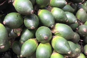 Kẹo cau có tác dụng gì mà Trung Quốc tăng thu mua?