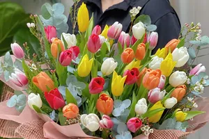 Ngày 8-3: Chi hơn 6 triệu đồng mua hoa tulip tặng người yêu