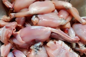 Bộ phận nào của con cóc chứa độc tố gây chết người?