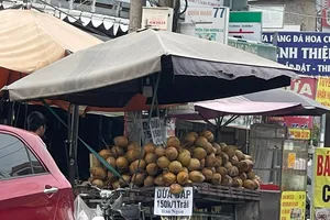 Giá dừa sáp siêu đắt, gấp 10 lần dừa nước thông thường