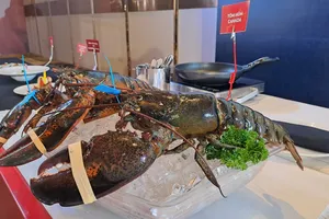 Tôm hùm có gì đặc biệt mà khiến giá bán của chúng luôn đắt đỏ?