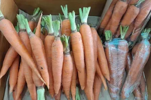 Cà rốt ép nước hay nấu chín tốt hơn?