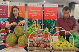 Có khi chỉ một con rệp bám vào quả sầu riêng, phải hủy cả lô hàng 