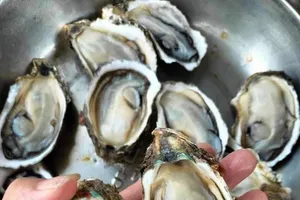 Hàu tốt cho sinh lý nam nhưng những người này không nên ăn