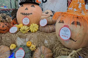 Bí đỏ sau lễ Halloween đừng vội bỏ đi