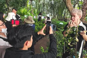 Nông dân miền Tây livestream bán hoa Tết cùng người nổi tiếng