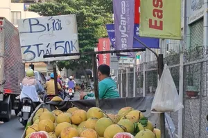 Bưởi da xanh 50.000 đồng/3 trái tràn chợ