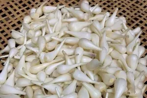 Vì sao ngày Tết nên có hủ kiệu muối chua trong nhà?