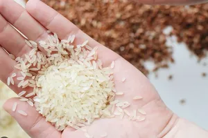 Doanh nghiệp Việt 'trúng lớn' trong gói thầu gạo của Indonesia