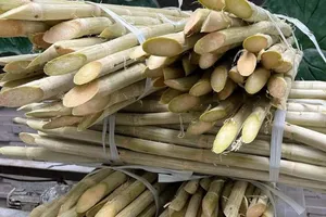 Nắng nóng kéo dài uống nước mía cần cẩn trọng điều gì?