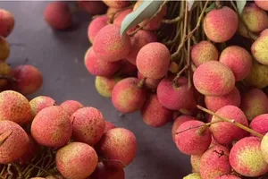 Vải thiều về chợ truyền thống TP.HCM neo mức giá cao