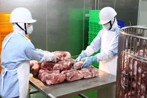 Nhiều công ty đang lâm vào tình trạng cạn kiệt dòng tiền