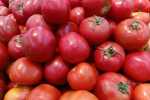 Ăn gì để giảm cân mà không lo thiếu chất?