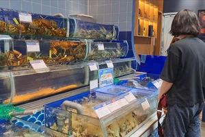 Hải sản 'quý tộc' giá bình dân về chợ dịp 2-9 ngày càng nhiều