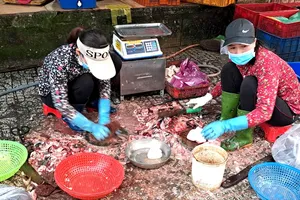 Cách chọn cá biển tươi hạn chế ngộ độc histamine