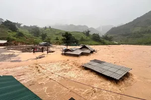 Gia cầm chết do lũ lụt có an toàn để sử dụng?