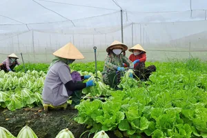 Giá nhiều mặt hàng ngoài chợ tăng mạnh: Bà nội trợ, nhà kinh doanh xoay sở đủ kiểu