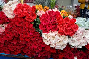 Nhiều tuyến đường tại TP.HCM tràn ngập điểm bán hoa hồng ngày 20-10