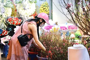 Bật mí bốn xu hướng chi tiêu của người Việt trong dịp Tết 2025 đến sớm