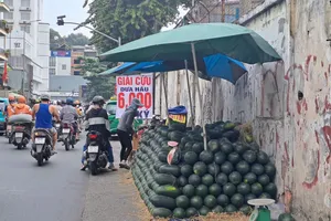 Xuất hiện nhiều điểm bán dưa hấu giá rẻ ở TP.HCM