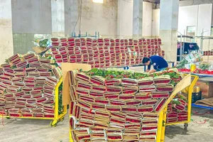 Khan hiếm, giá hoa hồng tăng 5 lần trước ngày Valentine 14-2