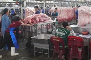 Giá thịt heo hôm nay tiếp tục 'nóng'