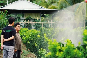 Từ tháng 4-2025, các sản phẩm Việt nào được đẩy mạnh xuất ngoại trên thương mại điện tử?