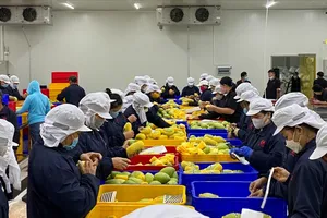 Xuất khẩu trực tuyến tìm cách vượt rào cản thuế quan
