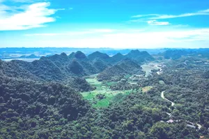 EU xếp Việt Nam vào nhóm quốc gia có rủi ro thấp về phá rừng