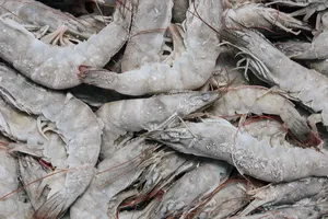 Mỹ công bố kết quả sơ bộ về thuế chống bán phá giá với tôm Việt Nam