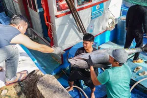 Lý do xuất khẩu cá ngừ tăng tốc tại Mỹ 