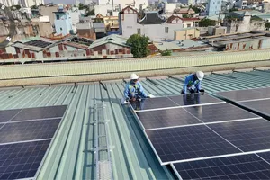 Đan Mạch đẩy mạnh đầu tư xanh tại Việt Nam