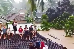 Làm sao để phân biệt được tin giả về mưa lũ do AI tạo ra?